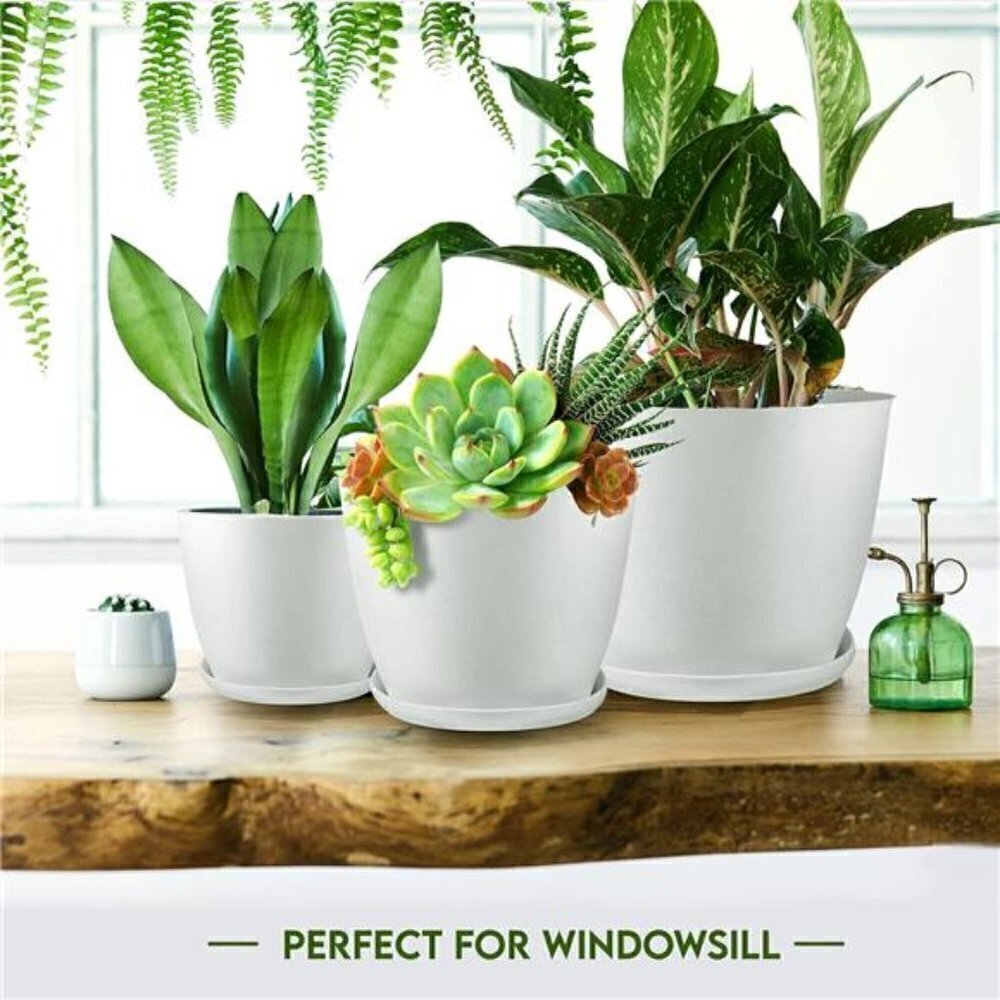 5X Plant Pots Drainage Home Decor Flower Indoor Planter Cactus, Succulents White - Picture 6 of 7